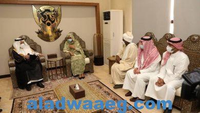صورة وزير الدولة للشؤون الإفريقية السعودي يصل البلاد