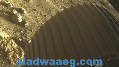صورة هبوط مسبار على سطح المريخ