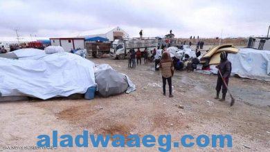 صورة عائلات تنظيم داعش في مخيم الهول
