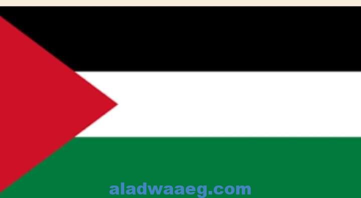 فلسطين في الموجة الثالثة لكورونا وتزايد الإصابات