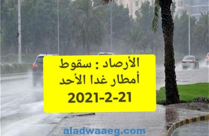 الأرصاد : سقوط أمطار غدا الأحد 21-2-2021