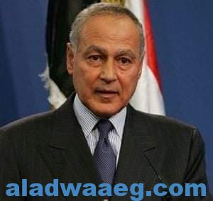 أحمد أبو الغيط يوجه الشكر إلى الرئيس السيسي لترشيحه أمينا عاما للجامعة العربية لولاية ثانية