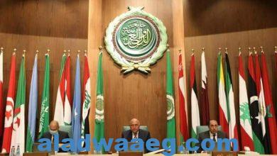 صورة وزير الخارجية يلقي كلمة مصر أمام الدورة العادية 155 لمجلس جامعة الدول العربية