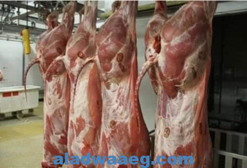 أسعار اللحوم الحمراء اليوم بالأسواق ومحلات الجزارة