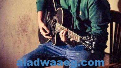 صورة عازف الجيتار نادر جميل قصه كفاح من العزف إلى صاحب سلسله محلات guitar shop egypt