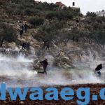 القوات الإسرائيلية تقمع مسيرة لمناسبة يوم الأرض في سبسطية