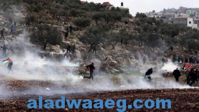 صورة القوات الإسرائيلية تقمع مسيرة لمناسبة يوم الأرض في سبسطية