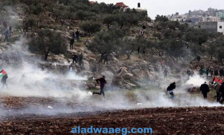 القوات الإسرائيلية تقمع مسيرة لمناسبة يوم الأرض في سبسطية