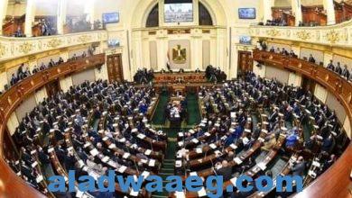 صورة النواب” يوافق مبدئيا على مشروع قانون بشأن تغليظ عقوبة ختان الإناث