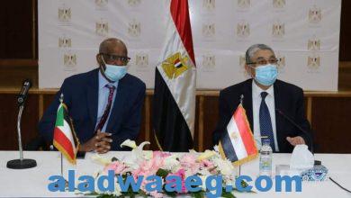 صورة 453 مليون جنيه مصرى لرفع قدرة خط الربط الكهربائى القائم بين مصر والسودان من 80 ميجاوت إلى 300 ميجاوات