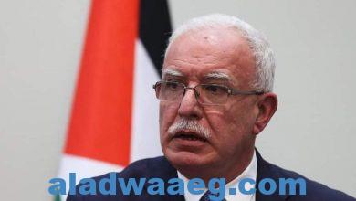 صورة وزير الخارجية الفلسطيني يلتقي والمدعي العام للمحكمة الجنائية الدولية