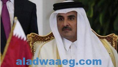 صورة أمير قطر: الأردن بقيادة جلالة الملك حقق إنجازات لافتة تدعو للإعجاب