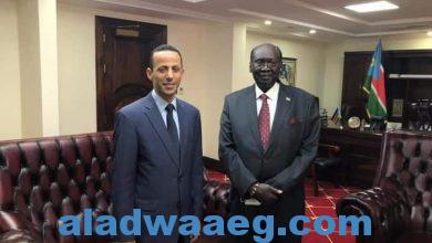 صورة سفير مصر في جوبا يلتقي بوزير شئون الرئاسة الجديد