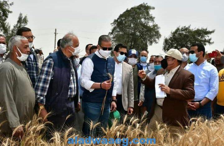 محافظ الفيوم ووكيل الزراعة يشهدان الاحتفال بيوم حصاد "القمح" بالناصرية