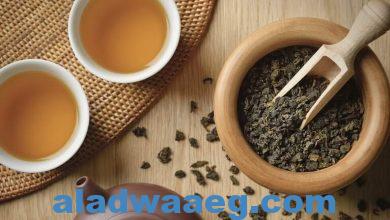 صورة الشاي الأخضر قد يكون علاجا “سحريا” لمرض لا دواء له بعد اكتشاف مركب به