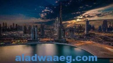 صورة المؤسسات الحكومية في دبي ونظيراتها الاتحادية توحّد الصفوف استعدادا لاحتفال عالمي في إكسبو2020
