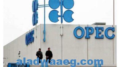 صورة الجزائر والسعودية اقترحتا تمديد تخفيضات إنتاج “أوبك+” النفطية لشهرين