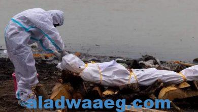 صورة الحكومة الهندية تعترف أخيرا .. المئات من جثث ضحايا كورونا ألقيت في الأنهار