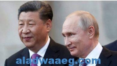صورة الرئيسان الروسي والصيني يشاركان في تدشين بناء المشروع النووي المشترك الجديد