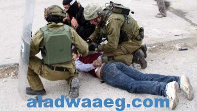 صورة قوات الاحتلال يعتقل 20 مواطنا من الضفة