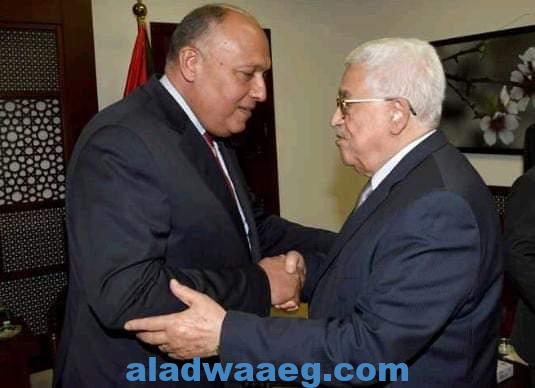 مصر، دور فعّال وريادي في القضية الفلسطينيّة