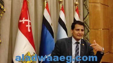 صورة الرؤية والهدف لإستراتيجية مصر الوطنية للأمن السيبراني