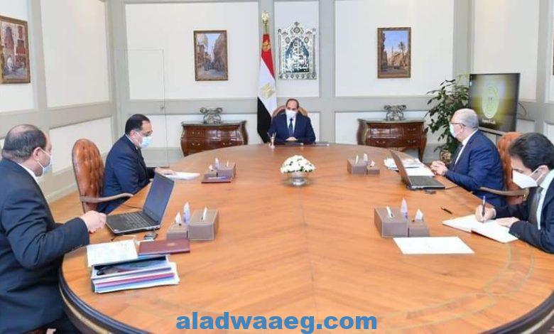 الرئيس يطلع على خطوات تطوير محطة "الزهراء" العريقة للخيول العربية المصرية الأصيلة