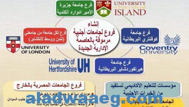 صورة وزارة التعليم العالي :التوسع في إنشاء فروع لجامعات أجنبية مرموقة على أرض مصر