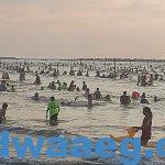 شواطئ رأس البر تشهد إقبال من المواطنين وانقاذ ٥٣ حالة من الغرق وتسليم ١٠٣ طفل تائه إلى ذويهم وانتشار لرجال الإنقاذ