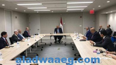 صورة وزير الخارجية يلتقى اللجنة العربية المعنية بمتابعة ملف سد النهضة الإثيوبى