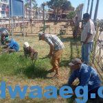 صيانة الحدائق وزراعة ١٥٠ شجرةً في الشيخ ضرغام الجديد براس البر