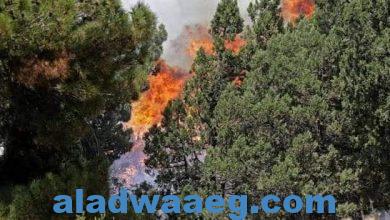 صورة الحرائق التي اندلعت في غابات منطقة عكار شمالي لبنان لا ترال مشتعلة