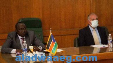 صورة وزير الري يبحث مع نظيره الجنوب سوداني تعزيز التعاون بين البلدين