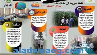 صورة “الزراعة في كل مصر”.. إصدار جديد بالانفوجراف والفيديو لاستعراض جهود القطاع الزراعي في المحافظات كل أسبوع