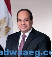 صورة «عندما يتحقق حلم الرئيس فى بناء الدولة المصرية والتوجه الى المسار الصحيح» 
