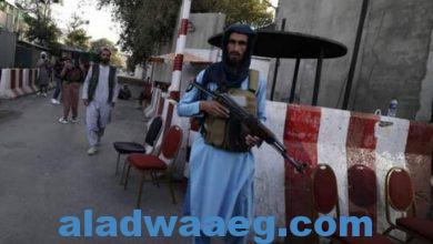 صورة المتحدث باسم ” طالبان” يكشف عن توقيت تشكيل الحكومة في أفغانستان