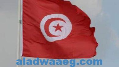 صورة تونس.. دعوات للتظاهر اليوم ضد قرارات سعيد