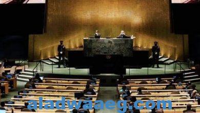 صورة من اجتماعات الأمم المتحدة العنصرية والمناخ والانقسامات..