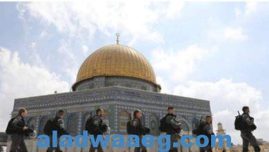 صورة الأردن يطالب بالوقف الفوري للانتهاكات الإسرائيلية في المسجد الأقصى