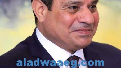 صورة الرئيس المصرى يهنئ أبناء مصر بالخارج بقرب حلول المولد النبوى الشريف