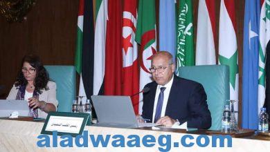 صورة وزير النقل يشارك في اجتماع الدورة 34 لمجلس وزراء النقل العرب…