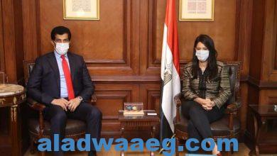 صورة وزيرة التعاون الدولي تلتقي السفير القطري الجديد بالقاهرة لبحث سبل تطوير العلاقات المشتركة