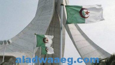 صورة الجزائر: مخاطر التصعيد بين المغرب و”البوليساريو” ..
