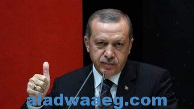 صورة أردوغان يرحب ببيان السفارات نيتها احترام القوانين التركية