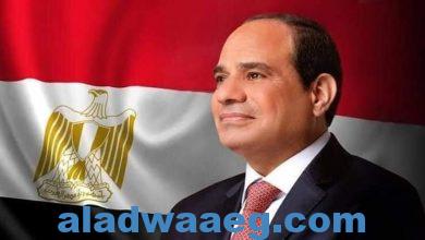 صورة العبد :السيسي فجاء المصريين بالغاء قانون الطوارىء و عودة الأمن والاستقرار إلى البلاد
