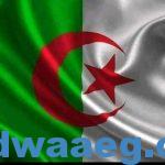 تعميم اللغه العربيه بالجزائر