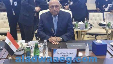 صورة شكري يطلع وزير خارجية الولايات المتحدةعلي موقف مصر من سد النهضة.