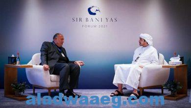 صورة وزير الخارجية يلتقي نظيره الإماراتي على هامش منتدى “صير بني ياس”