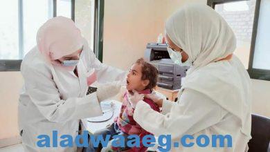 صورة تقديم الخدمات الطبية والعلاجية لـ 2292 حالة خلال أعمال قافلة طبية بمركز ابوقرقاص بالمنيا