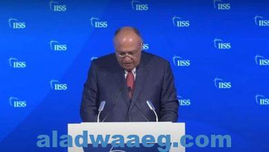 صورة وزير الخارجية يلقي كلمة أمام الدورة السابعة عشر لحوار المنامة.